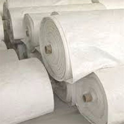 Anti-moisture low price 300g polyester non woven geotextile fabric for dam